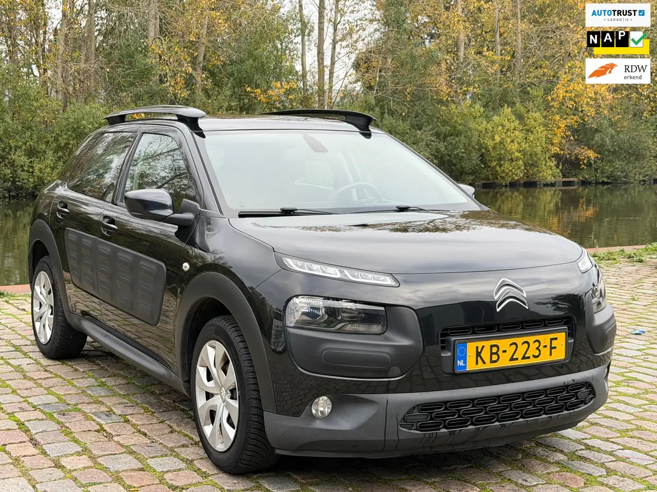 Citroën C4 Cactus