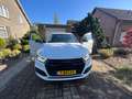 Audi Q5 S-Line Black Edition| Massage Stoelen |Panoramadak Wit - thumbnail 2