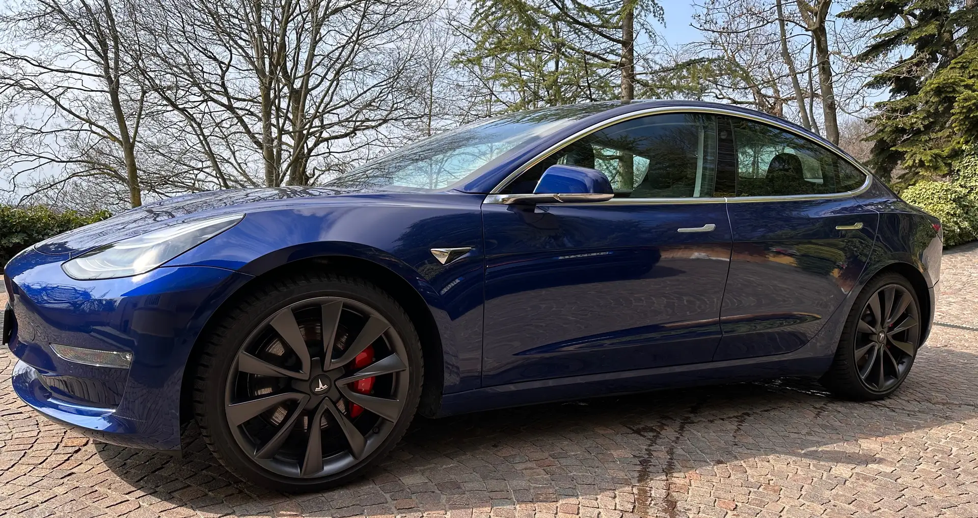 Tesla Model 3 Model 3 Performance Dual Motor awd Blu/Azzurro - 1