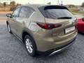 Mazda CX-5 CX-5 2.0i SKYACTIV-G 2WD Newground Beige - thumbnail 5