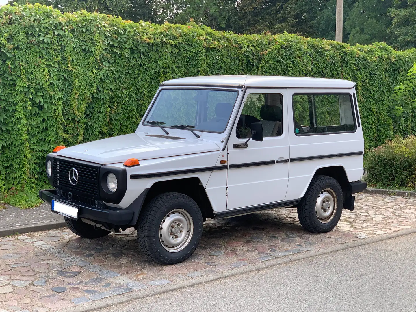 Puch G 290 GD, Typ 461, Diesel, kurzer Radstand, Heckflügeltüren, Standheizung, LKW-Zulassung Weiß - 2