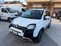 Fiat Panda Cross 1.0 FireFly S&S Hybrid CROSS no obblig. di f Bianco - thumbnail 1