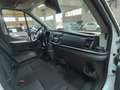 Ford Transit Van Trend 350 L3 H3 2.0 EcoBlue 170CV Trazione Ant Bianco - thumbnail 10
