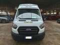 Ford Transit Van Trend 350 L3 H3 2.0 EcoBlue 170CV Trazione Ant Bianco - thumbnail 1