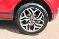 Land Rover Range Rover Evoque D180 diesel SE Cruise Control, Panoramadak, 20" Li Rood - thumbnail 12