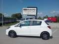Toyota Yaris Yaris III 2015 5p 1.4 d-4d Active NEOPATENTATI Weiß - thumbnail 3