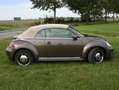 Volkswagen Beetle Cabriolet 2.0 TDI BMT Design; DSG; Leder; Bi-Xenon Brun - thumbnail 6