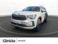 Skoda Kodiaq Selection 1.5 TSI iV (150kW) DSG Grau - thumbnail 1