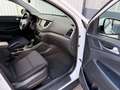 Hyundai TUCSON Go 2WD Weiß - thumbnail 12