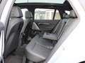 BMW 520 i T.M Sport PanoD.AHK Sitzbel.Lenkradh.ACC P+ Gris - thumbnail 10