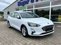 Ford Focus Turnier Cool & Connect AHK Kamera Navi Weiß - thumbnail 1