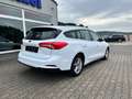 Ford Focus Turnier Cool & Connect AHK Kamera Navi Weiß - thumbnail 4