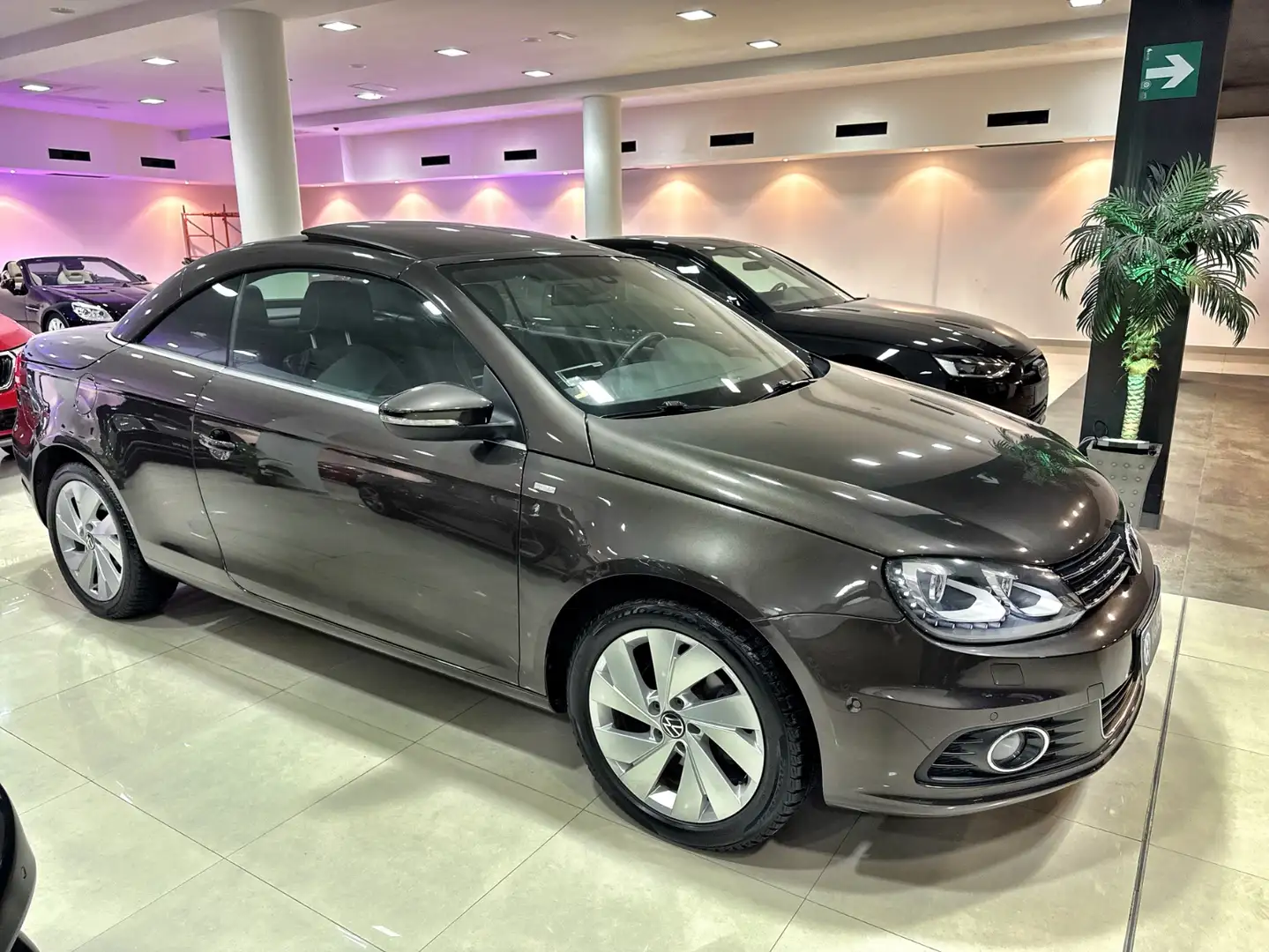Volkswagen Eos 1.4 TSI Excellence Maro - 2