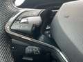 Skoda Octavia 4x4 RS TDI DSG Grau - thumbnail 14