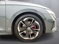 Skoda Octavia 4x4 RS TDI DSG Grau - thumbnail 20
