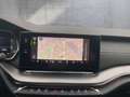 Skoda Octavia 4x4 RS TDI DSG Grau - thumbnail 15