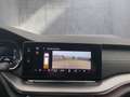 Skoda Octavia 4x4 RS TDI DSG Grau - thumbnail 16