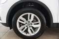 Audi Q5 40 TDI quattro S tronic Business Blanc - thumbnail 24