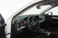 Audi Q5 40 TDI quattro S tronic Business Bianco - thumbnail 12