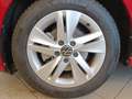 Volkswagen Golf VIII 1.5 TSI Life Pano*LED+*ACC*RFK*App-Co. Rot - thumbnail 8