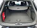 Ford Focus Turnier 1.5 EcoBlue Start-Stopp-System Aut. Schwarz - thumbnail 7