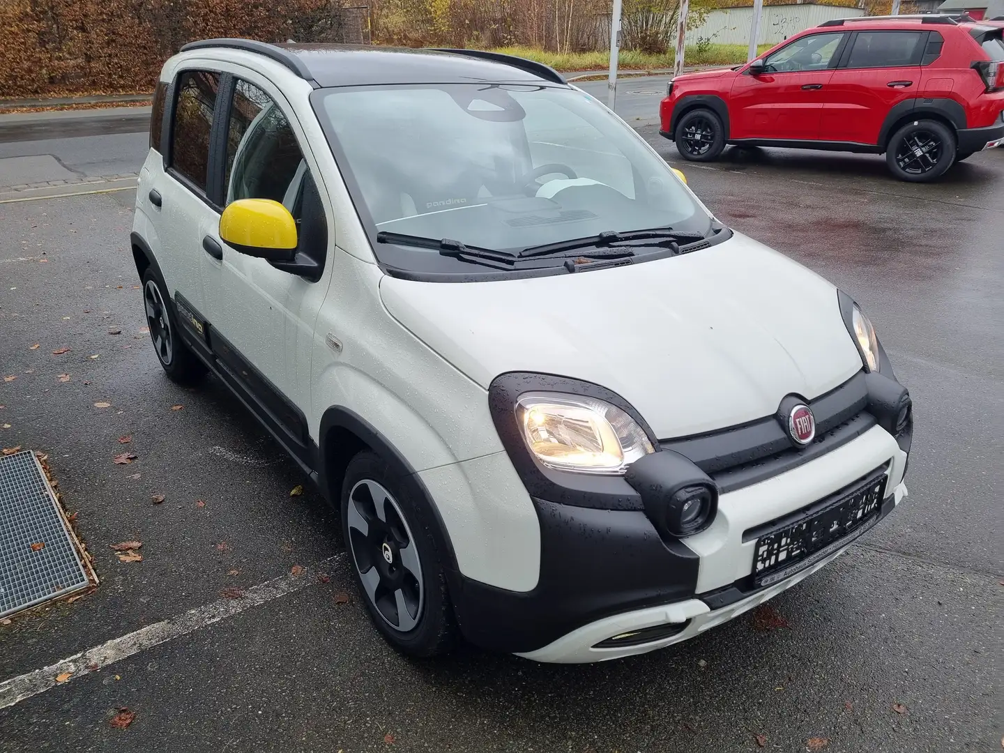 Fiat Panda Pandina 1.0 GSE Hybrid 51kW (70PS) Weiß - 2