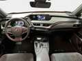 Lexus UX 250h 2.0 Business Rot - thumbnail 13