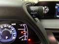 Lexus UX 250h 2.0 Business Rouge - thumbnail 21
