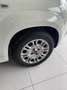 Fiat Panda 1.2 Pop Blanco - thumbnail 7