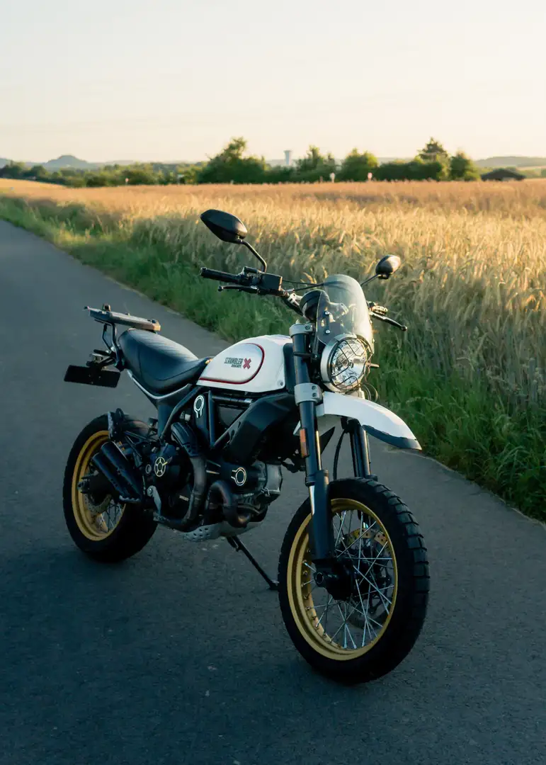 Ducati Scrambler Desert Sled Weiß - 2