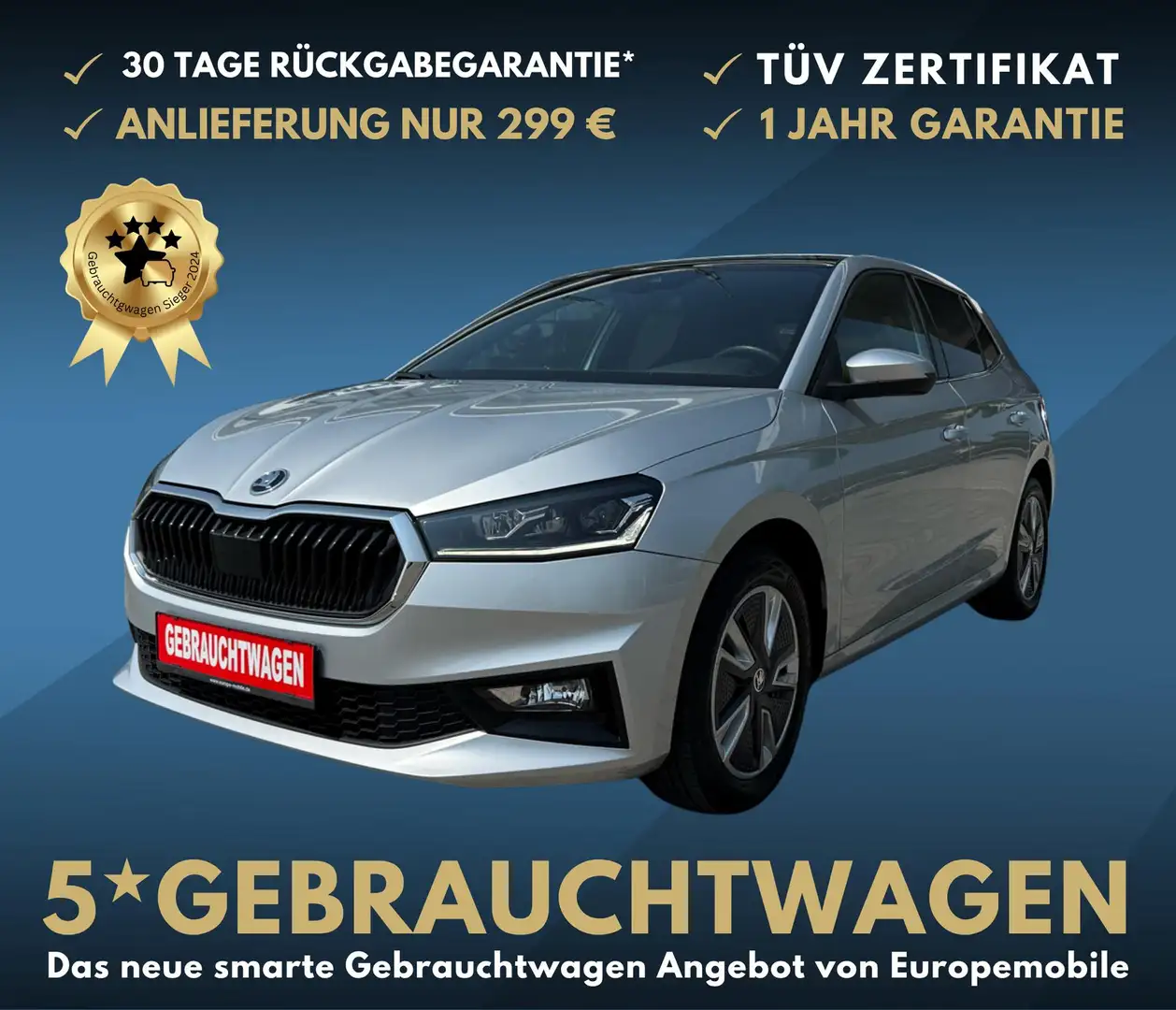 Skoda Fabia Style (D4) 1.0 TSI 110 DYNAMIC|NAV|KAM|VIRTU|PA... Silber - 1