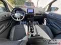 Ford EcoSport 1.0 ecoboost Titanium s&s 125cv my20.25 Grijs - thumbnail 16