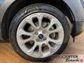 Ford EcoSport 1.0 ecoboost Titanium s&s 125cv my20.25 Grijs - thumbnail 5