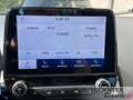 Ford EcoSport 1.0 ecoboost Titanium s&s 125cv my20.25 Grijs - thumbnail 13