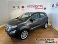 Ford EcoSport 1.0 ecoboost Titanium s&s 125cv my20.25 Grijs - thumbnail 1