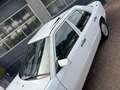 Mercedes-Benz 500 200-500 (W124) 200 E Bj 1989 Automaat Km 145.000 N Wit - thumbnail 13
