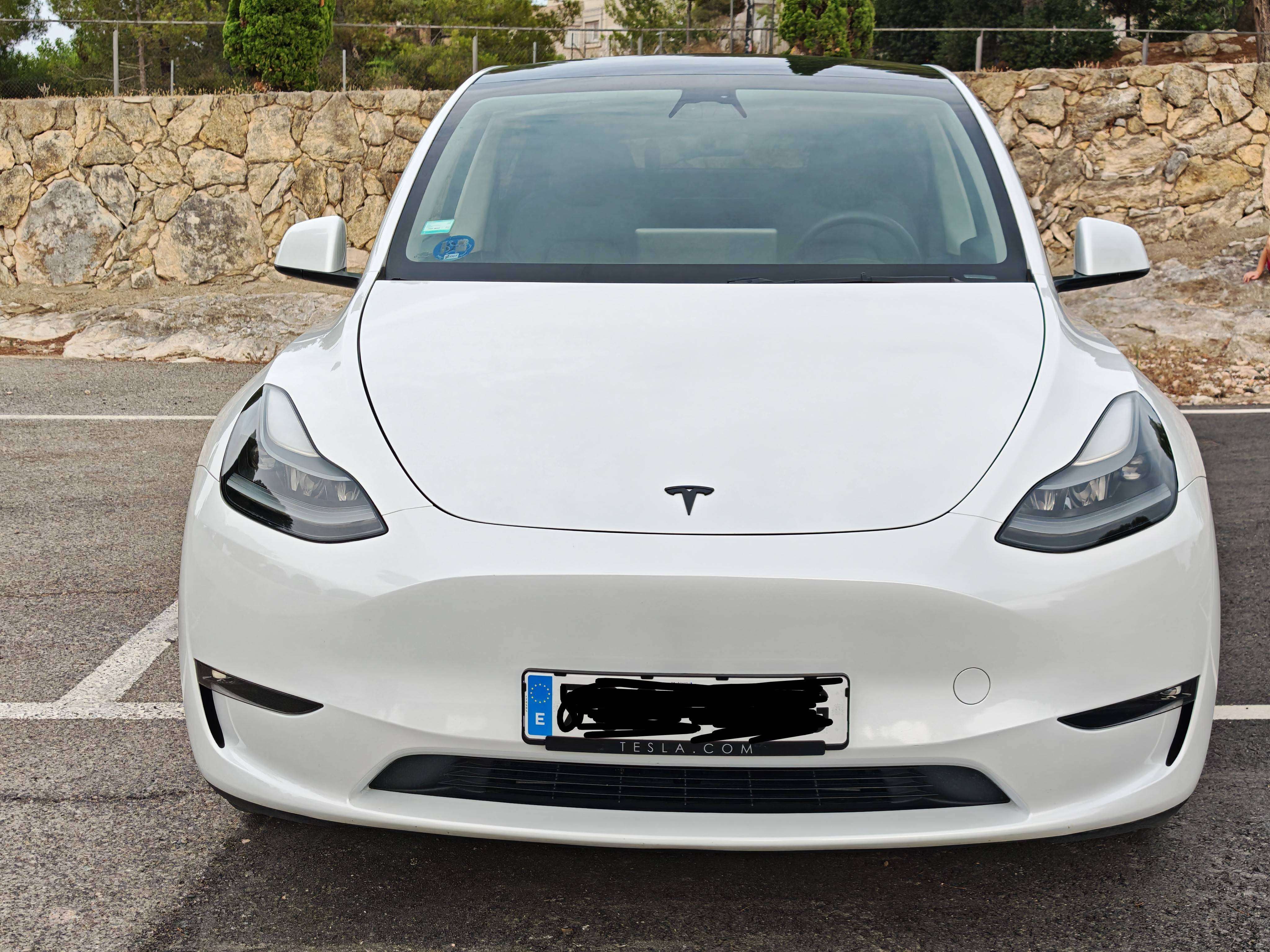 Tesla Model Y Model Y Gran Autonomia AWD - foto 1