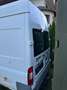 Ford Transit 350 L (HD) TDCi Weiß - thumbnail 5