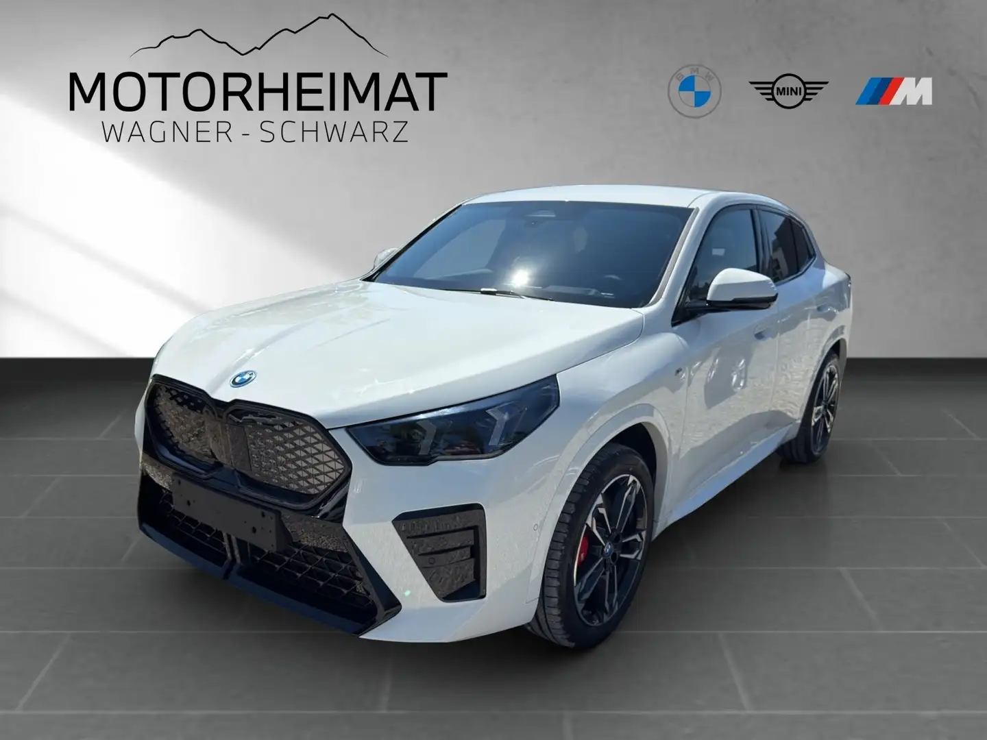 BMW iX2 XDRIVE30 M Sport Pro 360° HUD AHK Weiß - 1