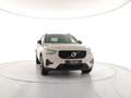 Volvo XC40 B3 automatico Plus Dark Autocarro N1 - MY26 Beige - thumbnail 6