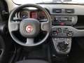 Fiat Panda Panda 1.0 firefly hybrid s&s 70cv * SUPER PROMO Gris - thumbnail 11