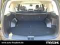 Hyundai SANTA FE (5-Sitzer) HEV (MY25) 1.6 T-GDI (215 PS) 6-AT 4WD Grün - thumbnail 9