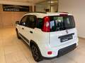 Fiat Panda 1.0  hybrid PREZZO REALE Bianco - thumbnail 4