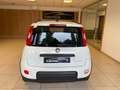 Fiat Panda 1.0  hybrid PREZZO REALE Bianco - thumbnail 5