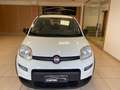 Fiat Panda 1.0  hybrid PREZZO REALE Bianco - thumbnail 3