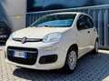 Fiat Panda Panda III 1.2 GPL Benzina Lounge easypower 69cv Beige - thumbnail 3