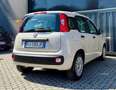 Fiat Panda Panda III 1.2 GPL Benzina Lounge easypower 69cv Beige - thumbnail 8
