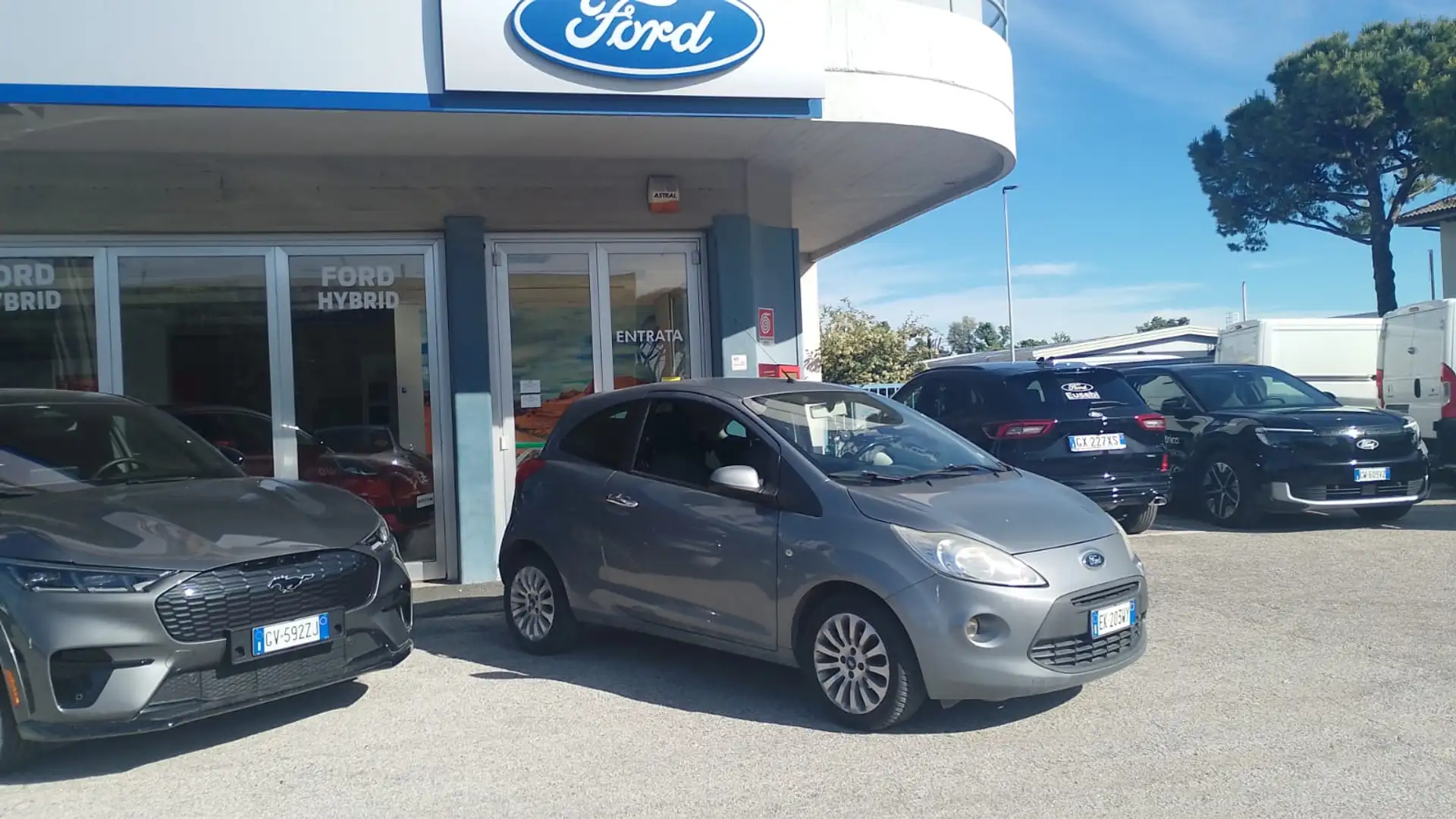 Ford Ka/Ka+ Ka+ 1.2 8V 69CV Titanium Gris - 1