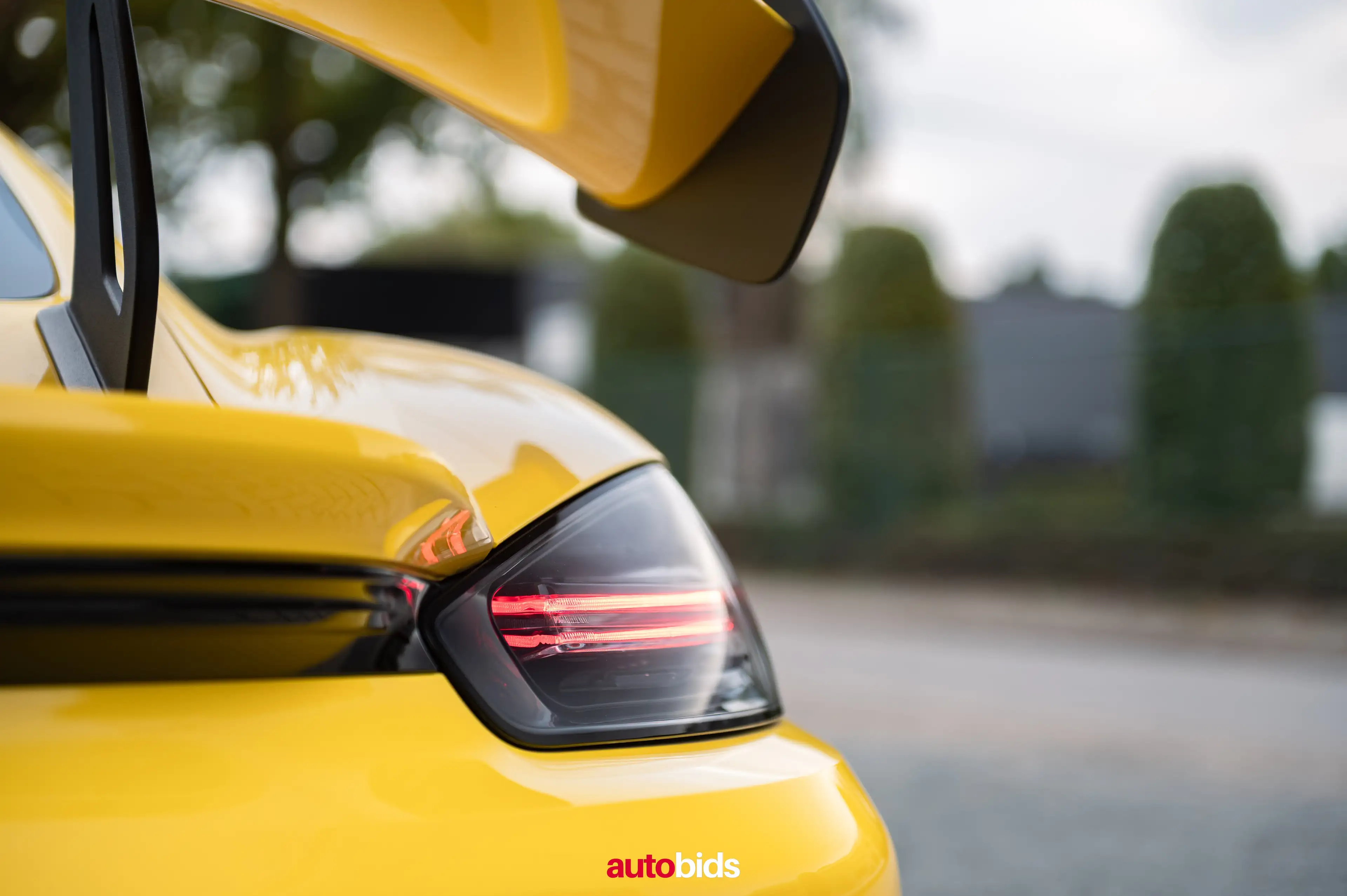 Porsche Cayman 718 GT4 RS — photo 12
