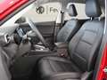 MG ZS Hybrid+ Luxury - thumbnail 9